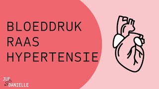 Bloeddruk RAAS en hypertensie [upl. by Ahseuqram]