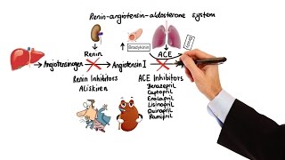 Pharmacology  HYPERTENSION amp ANTIHYPERTENSIVES MADE EASY [upl. by Aridni769]