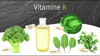 Vitamine K – Quels sont les aliments riches en Vitamine K [upl. by Eciram702]