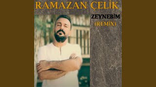 Zeynebim Remix [upl. by Rodmann]