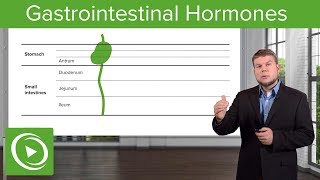 Gi Hormones Gastrointestinal System – Physiology  Lecturio [upl. by Nairad]