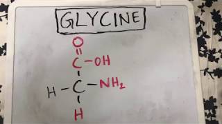 Glycine Structure  Amino Acid Basics [upl. by Odlanar802]