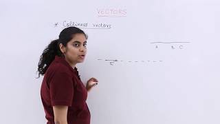 Class 12th – Collinear Vectors  Vector Algebra  Tutorials Point [upl. by Rambow]