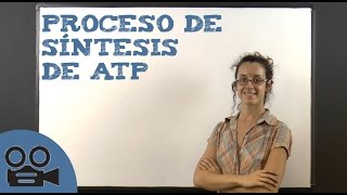 Proceso de síntesis de ATP [upl. by Elyr]