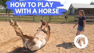 HOW TO PLAY WITH A HORSE [upl. by Amyas]