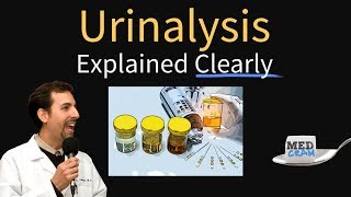 Urinalysis Interpretation Explained Clearly  Glucose amp Ketones in Urine [upl. by Arissa220]