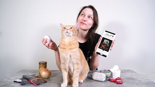 5 Human Foods Cats Can Eat And 5 To Avoid [upl. by Maro]