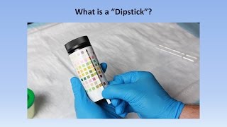 Interpretation of the Urinalysis Part 2  The Dipstick [upl. by Eniak]