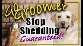 How to stop your dogs from sheddingguaranteed [upl. by Also754]