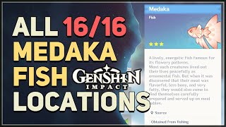 All 16 Medaka Locations Genshin Impact [upl. by Noiwtna]