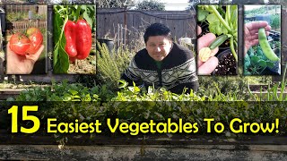 The 15 Easiest Vegetables To Grow For Beginners [upl. by Oinegue]