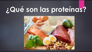 ¿Qué son las proteínas Para niños [upl. by Owades255]