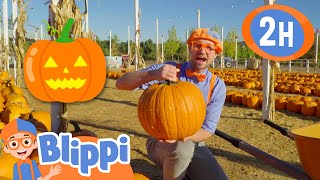 Halloween With Blippi At A Pumpkin Farm  Educational Videos for Kids [upl. by Adierf]