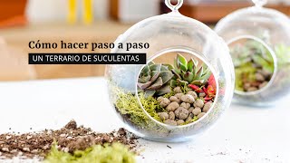 Cómo hacer un terrario de suculentas [upl. by Neffets]