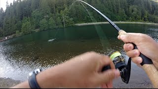 powerbait setup for trout [upl. by Cod568]