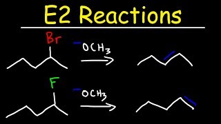 E2 Reaction Mechanism  Hoffman Elimination vs Zaitsevs Rule [upl. by Nnyledam801]