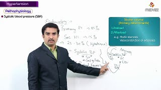 AntiHypertensive Drugs  1  CVS Pharmacology  EOMS [upl. by Felise]