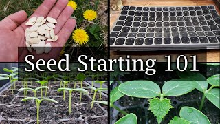 How To Start Vegetable Seeds  The Definitive Guide For Beginners [upl. by Boor]