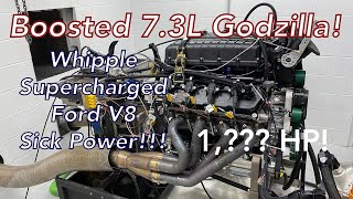 Supercharged Godzilla 73L Ford V8 Makes Insane Horsepower  Listen to this Whipple Roar on the Dyno [upl. by Anaidiriv971]