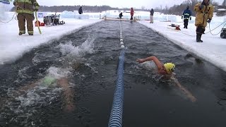 US Winter Swimming Championship SIV389 [upl. by Nnylrac755]