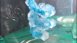 How are Crystals Formed [upl. by Nagorb]