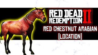 Red Chestnut Arabian Wild Horse Location  Red Dead Redemption 2 [upl. by Tsnre968]