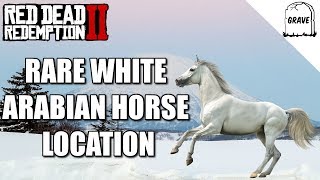 Rare White Arabian Horse Location Red Dead Redemption 2 [upl. by Aid]