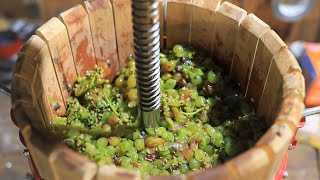 Making a White Wine from Grapes [upl. by Oironoh120]