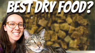 Best dry cat food to get picky cats from kibble to wet or raw [upl. by Afesoj]