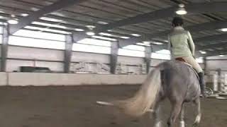 How to Gallop a Horse [upl. by Cinda628]