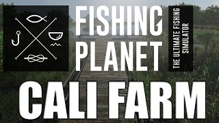 Fishing Planet  California  INSANE Sturgeon Money and XP Farm [upl. by Atiugal]