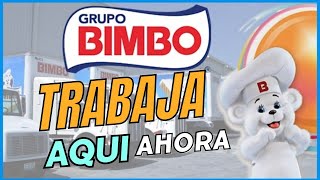 EMPLEO BIMBO BUSCO TRABAJO 2023 SIN EXPERIENCIA [upl. by Nolyarg]