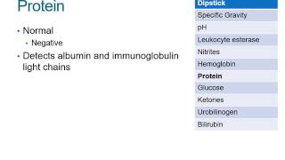 How to Read a Urinalysis Result [upl. by Shien]