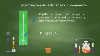 Densidad utilizando densímetro [upl. by Hsizan740]