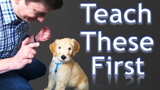 3 Easy Things to Teach your NEW PUPPY [upl. by Ahsayn]