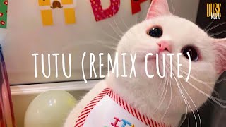 tutututititu Tutu  DJ Komang Rimex  Vietsub  Lyric Tik Tok Song [upl. by Olpe669]