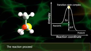 SN2 Reactions  University Of Surrey [upl. by Him]