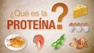 ¿Qué es la proteína [upl. by Poree]