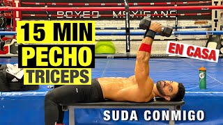 Rutina de PECHO Y TRICEPS En Casa  15 Minutos ¡Destroza Tus Músculos [upl. by Shaikh]