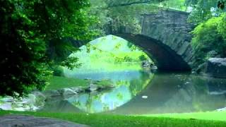 Massenet  Meditation  Sir James Galway [upl. by Cilka493]