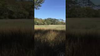 653 Spartina Court Southport NC [upl. by Nawuj]