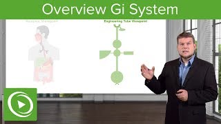 Overview Gastrointestinal System – Physiology  Lecturio [upl. by Eceinhoj]