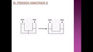 BIOPHYSIQUE Propriétés Collugatives des Solutions [upl. by Yecac]