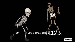 Bones Bones Bones [upl. by Wilfred210]