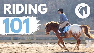 HOW TO RIDE A HORSE EASY BEGINNERS GUIDE [upl. by Heron]