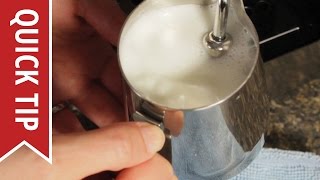 How to AutoFroth Milk for Lattes [upl. by Ailahtan]