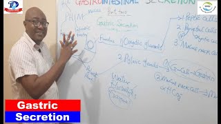 Gastrointestinal Secretion – 2 Gastric Secretion [upl. by Patin]