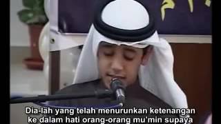 Surat Al Fath  Muhammad Taha Al Junayd [upl. by Lynea726]