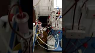 Dialysis machine ak98 gambro nrs [upl. by Arat751]