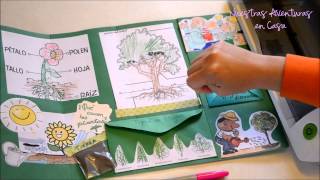 Lapbook Las Plantas [upl. by Seena]